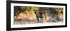 Awesome South Africa Collection Panoramic - Hyena at Sunrise-Philippe Hugonnard-Framed Photographic Print