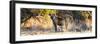 Awesome South Africa Collection Panoramic - Hyena at Sunrise-Philippe Hugonnard-Framed Photographic Print