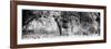 Awesome South Africa Collection Panoramic - Hyena B&W-Philippe Hugonnard-Framed Photographic Print