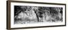 Awesome South Africa Collection Panoramic - Hyena B&W-Philippe Hugonnard-Framed Photographic Print