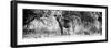 Awesome South Africa Collection Panoramic - Hyena B&W-Philippe Hugonnard-Framed Photographic Print