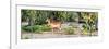 Awesome South Africa Collection Panoramic - Impala Antelope-Philippe Hugonnard-Framed Photographic Print