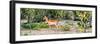 Awesome South Africa Collection Panoramic - Impala Antelope-Philippe Hugonnard-Framed Photographic Print