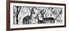 Awesome South Africa Collection Panoramic - Impala Family B&W-Philippe Hugonnard-Framed Photographic Print