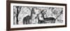 Awesome South Africa Collection Panoramic - Impala Family B&W-Philippe Hugonnard-Framed Photographic Print