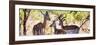 Awesome South Africa Collection Panoramic - Impala Family-Philippe Hugonnard-Framed Photographic Print