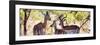 Awesome South Africa Collection Panoramic - Impala Family-Philippe Hugonnard-Framed Photographic Print