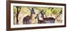 Awesome South Africa Collection Panoramic - Impala Family-Philippe Hugonnard-Framed Photographic Print