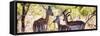 Awesome South Africa Collection Panoramic - Impala Family-Philippe Hugonnard-Framed Stretched Canvas