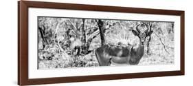 Awesome South Africa Collection Panoramic - Impala Portrait B&W-Philippe Hugonnard-Framed Photographic Print