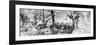 Awesome South Africa Collection Panoramic - Impala Portrait B&W-Philippe Hugonnard-Framed Photographic Print