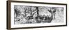 Awesome South Africa Collection Panoramic - Impala Portrait B&W-Philippe Hugonnard-Framed Premium Photographic Print