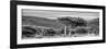 Awesome South Africa Collection Panoramic - Lone Acacia Tree B&W-Philippe Hugonnard-Framed Photographic Print