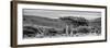 Awesome South Africa Collection Panoramic - Lone Acacia Tree B&W-Philippe Hugonnard-Framed Photographic Print