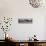 Awesome South Africa Collection Panoramic - Lone Acacia Tree B&W-Philippe Hugonnard-Stretched Canvas displayed on a wall