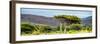 Awesome South Africa Collection Panoramic - Lone Acacia Tree-Philippe Hugonnard-Framed Photographic Print