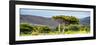 Awesome South Africa Collection Panoramic - Lone Acacia Tree-Philippe Hugonnard-Framed Photographic Print