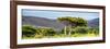 Awesome South Africa Collection Panoramic - Lone Acacia Tree-Philippe Hugonnard-Framed Photographic Print