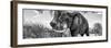 Awesome South Africa Collection Panoramic - Male African Elephant B&W-Philippe Hugonnard-Framed Photographic Print