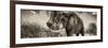 Awesome South Africa Collection Panoramic - Male African Elephant II-Philippe Hugonnard-Framed Photographic Print