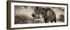 Awesome South Africa Collection Panoramic - Male African Elephant II-Philippe Hugonnard-Framed Photographic Print