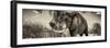 Awesome South Africa Collection Panoramic - Male African Elephant II-Philippe Hugonnard-Framed Photographic Print