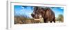 Awesome South Africa Collection Panoramic - Male African Elephant-Philippe Hugonnard-Framed Premium Photographic Print