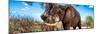 Awesome South Africa Collection Panoramic - Male African Elephant-Philippe Hugonnard-Mounted Premium Photographic Print