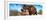 Awesome South Africa Collection Panoramic - Male African Elephant-Philippe Hugonnard-Framed Photographic Print