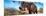 Awesome South Africa Collection Panoramic - Male African Elephant-Philippe Hugonnard-Mounted Photographic Print