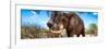 Awesome South Africa Collection Panoramic - Male African Elephant-Philippe Hugonnard-Framed Photographic Print