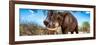 Awesome South Africa Collection Panoramic - Male African Elephant-Philippe Hugonnard-Framed Photographic Print