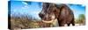 Awesome South Africa Collection Panoramic - Male African Elephant-Philippe Hugonnard-Stretched Canvas