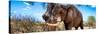 Awesome South Africa Collection Panoramic - Male African Elephant-Philippe Hugonnard-Stretched Canvas