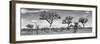 Awesome South Africa Collection Panoramic - Natural Beauty in Africa B&W-Philippe Hugonnard-Framed Photographic Print