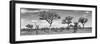 Awesome South Africa Collection Panoramic - Natural Beauty in Africa B&W-Philippe Hugonnard-Framed Photographic Print