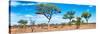 Awesome South Africa Collection Panoramic - Natural Beauty in Africa-Philippe Hugonnard-Stretched Canvas