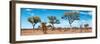 Awesome South Africa Collection Panoramic - Natural Beauty-Philippe Hugonnard-Framed Photographic Print