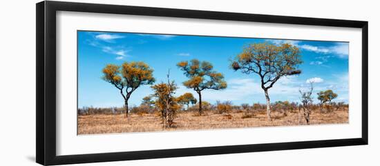 Awesome South Africa Collection Panoramic - Natural Beauty-Philippe Hugonnard-Framed Photographic Print