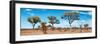 Awesome South Africa Collection Panoramic - Natural Beauty-Philippe Hugonnard-Framed Photographic Print