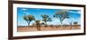 Awesome South Africa Collection Panoramic - Natural Beauty-Philippe Hugonnard-Framed Photographic Print