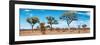 Awesome South Africa Collection Panoramic - Natural Beauty-Philippe Hugonnard-Framed Photographic Print