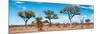 Awesome South Africa Collection Panoramic - Natural Beauty-Philippe Hugonnard-Mounted Photographic Print