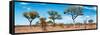 Awesome South Africa Collection Panoramic - Natural Beauty-Philippe Hugonnard-Framed Stretched Canvas