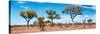 Awesome South Africa Collection Panoramic - Natural Beauty-Philippe Hugonnard-Stretched Canvas