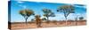 Awesome South Africa Collection Panoramic - Natural Beauty-Philippe Hugonnard-Stretched Canvas