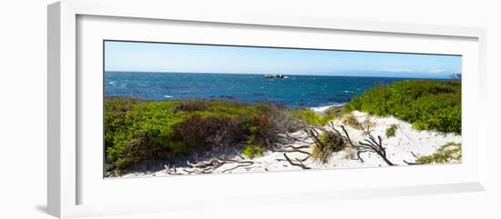 Awesome South Africa Collection Panoramic - Ocean View IV-Philippe Hugonnard-Framed Photographic Print