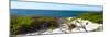 Awesome South Africa Collection Panoramic - Ocean View IV-Philippe Hugonnard-Mounted Photographic Print