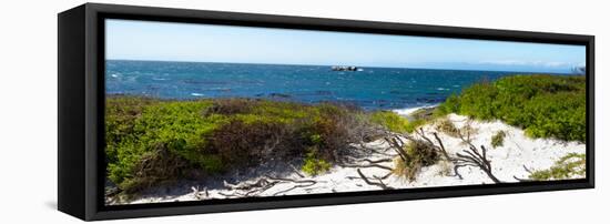 Awesome South Africa Collection Panoramic - Ocean View IV-Philippe Hugonnard-Framed Stretched Canvas