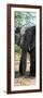 Awesome South Africa Collection Panoramic - Old African Elephant-Philippe Hugonnard-Framed Photographic Print